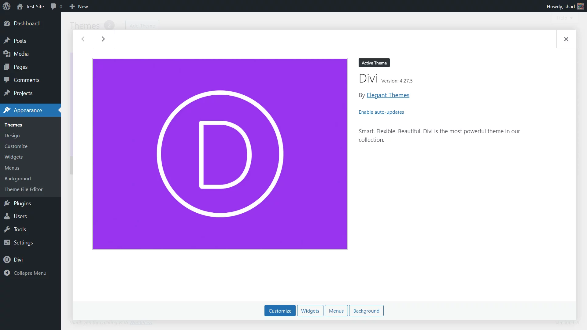Divi Theme Options Panel